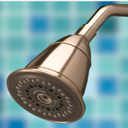 Oxygenics TriSpa Fixed Brushed Nickel Showerhead image